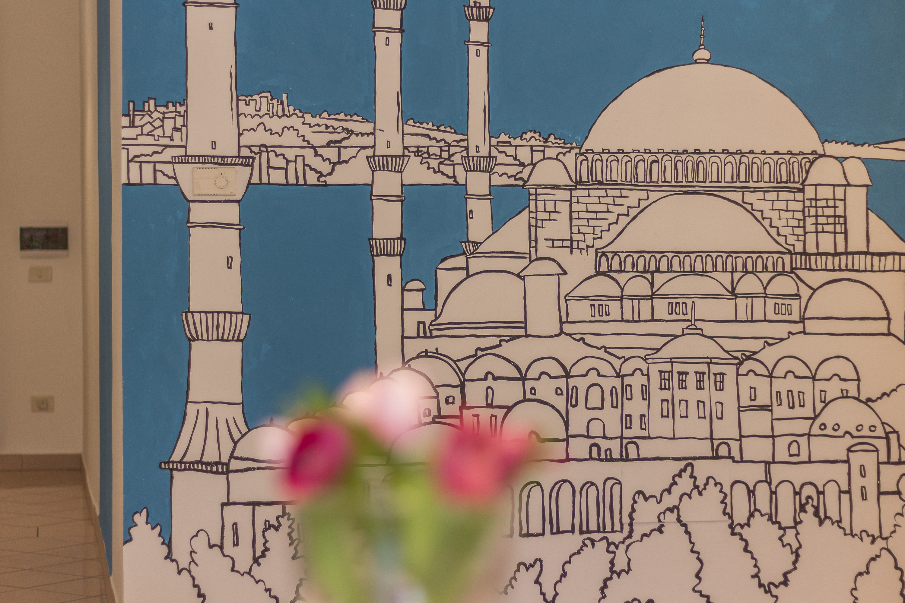 Cigno Moschea Blu Istambul
